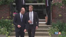 Tra William ed Harry è sempre grande freddo thumbnail