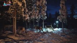 Le renne, patrimonio di un popolo thumbnail