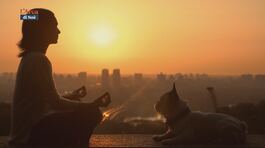 Yoga praticato insieme ai cani thumbnail