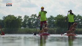 Dog Sport Experience 2024 thumbnail