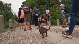 La Strabassotti a Monza thumbnail