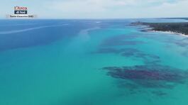 La protezione del mare thumbnail