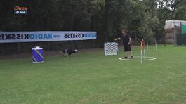 L'Educa-cani thumbnail