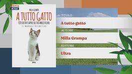 Il Can-piello thumbnail