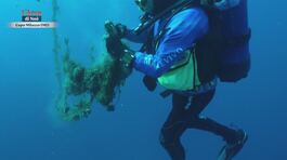 Un'operazione di Mare Vivo thumbnail