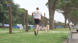 L'Educa-cani thumbnail