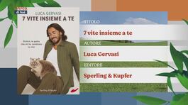 Il Can-piello thumbnail