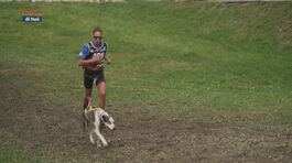 L'Educa cani: il cani cross a Bardonecchia thumbnail