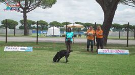 L'Educa-cani thumbnail