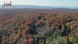 Magia d'autunno tra Puglia e Umbria thumbnail