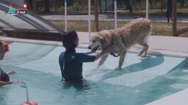 Beau e Claudia, migliori amici thumbnail
