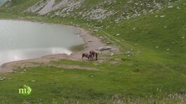Parco Orobie Bergamasche thumbnail
