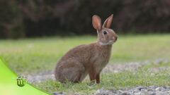 Puntata del 30 giugno - Seconda parte