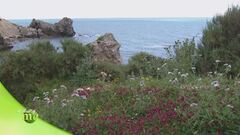 Puntata dell'11 agosto - Seconda parte