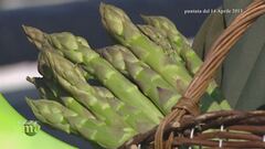 L'asparago di Badoere