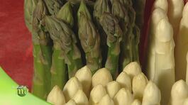 Asparago verde e asparago bianco thumbnail