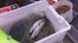 La pesca in Finlandia thumbnail