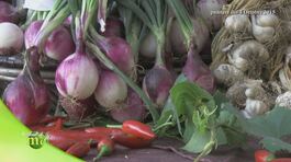 Sapori di Calabria thumbnail