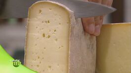 Il formaggio Raschera thumbnail