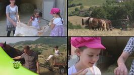 Antico podere thumbnail