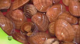 I frutti di mare thumbnail