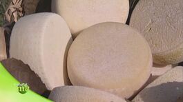 Pecorino della Lunigiana thumbnail