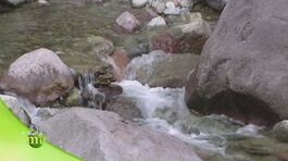 La sorgente dell'acqua minerale thumbnail