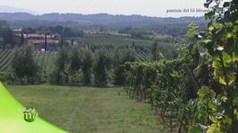 Agricoltori dal 1898 thumbnail