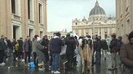 Con la mucca in Piazza San Pietro thumbnail