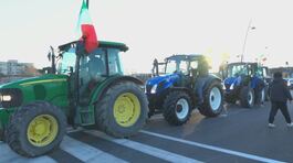 Trattori, gli ultrà non si arrendono thumbnail