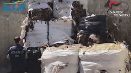 In Tunisia i veleni della Campania thumbnail