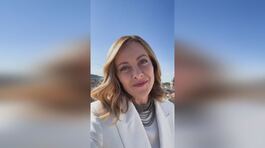 Viva la mamma thumbnail