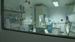 Covid, un errore di laboratorio thumbnail