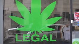 Stretta sulla cannabis light thumbnail