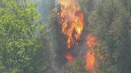 Italia in fiamme, Sicilia a secco thumbnail