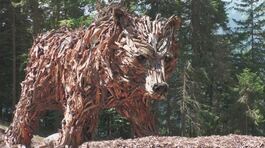 Bufera anche sull'orso di legno thumbnail