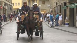 Cavallo stramazza, è polemica thumbnail