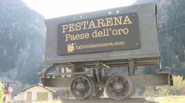 Torna le febbre dell'oro thumbnail