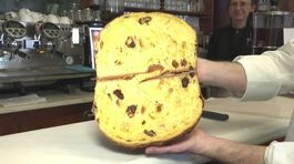 Ecco il panettone di grilli thumbnail