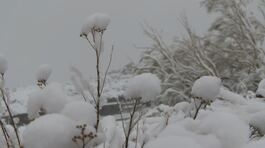 Gelo e neve, torna l'allerta meteo thumbnail