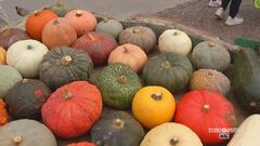 Domenica 20 ottobre