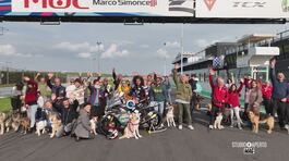 Il mondo della moto in aiuto degli animali in difficoltà thumbnail