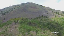 Il Parco Nazionale del Vesuvio, simbolo di biodiversità thumbnail