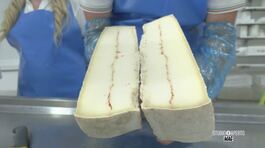 Formaggi della tradizione thumbnail