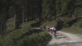 Primiero Dolomiti Marathon thumbnail