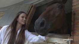 Il cavallo del popolo thumbnail