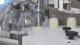 Lo yogurt artigianale thumbnail