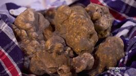 Il tartufo umbro di Citta di Castello thumbnail