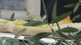 Castiglion Fiorentino, l'arrivo dell'olio nuovo thumbnail