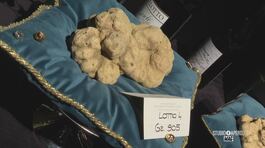 Il tartufo di Alba thumbnail